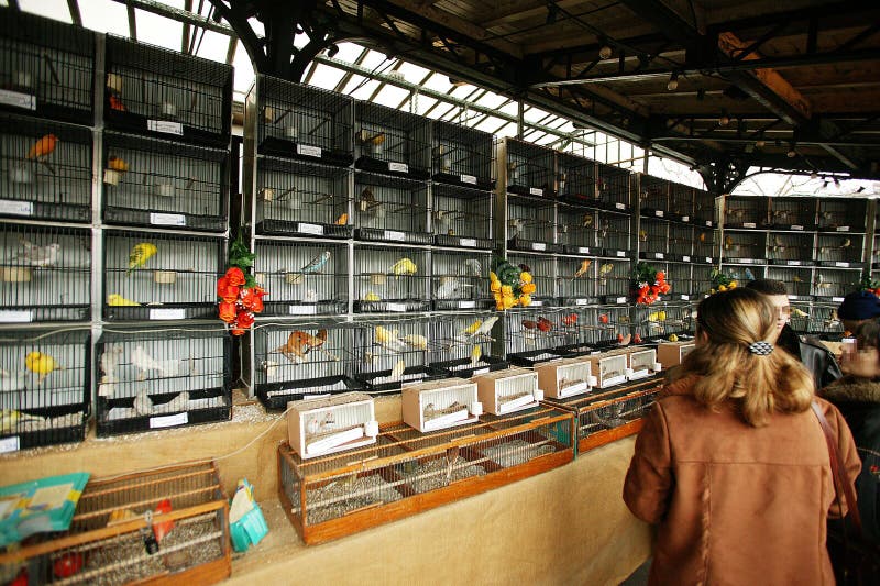 Mensen op de vogelmarkt op ile de la cite in parijs royalty-vrije stock afbeelding
