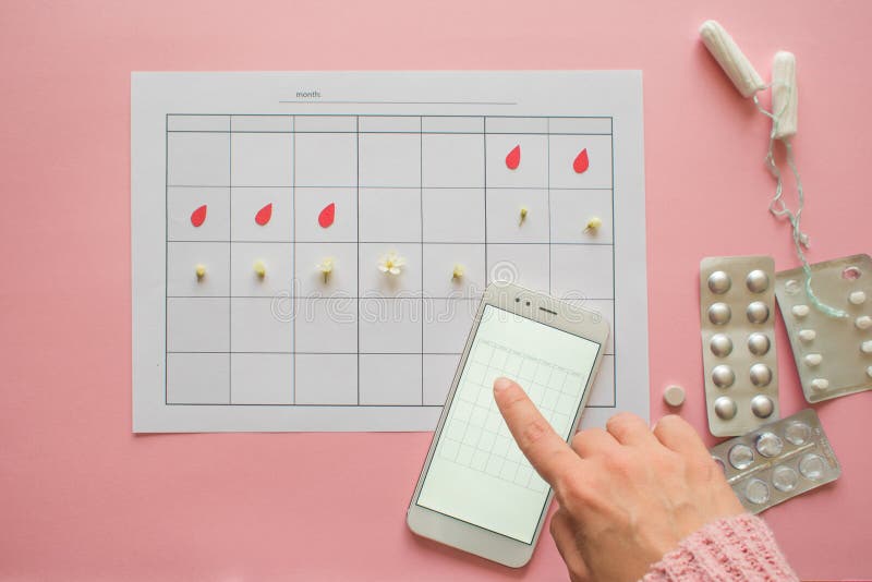 Menstrual cycle. Calendar for the month with marks and a mobile application on the smartphone screen. stock photography