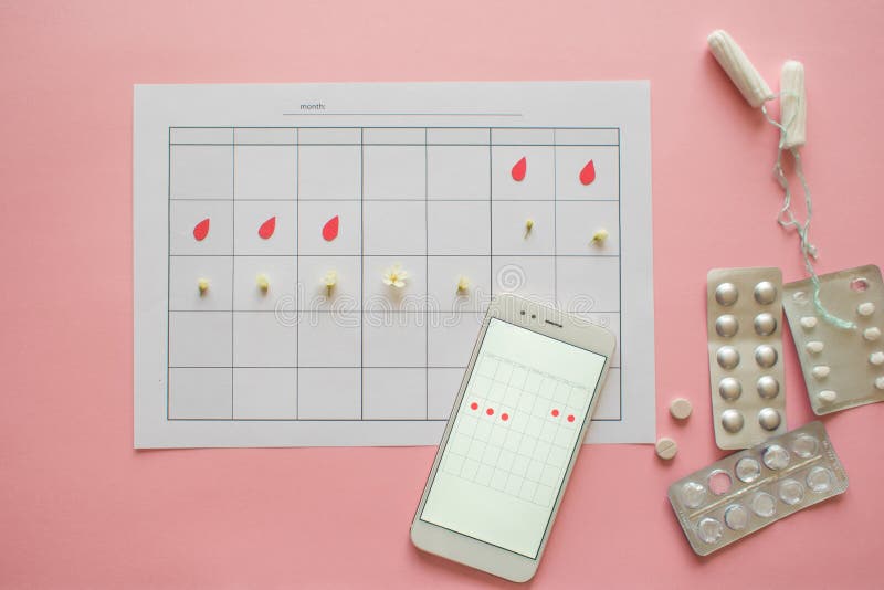 Menstrual cycle. Calendar for the month with marks and a mobile application on the smartphone screen. stock photos