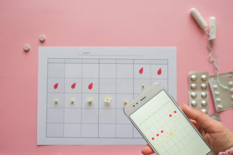 Menstrual cycle. Calendar for the month with marks and a mobile application on the smartphone screen. royalty free stock photography