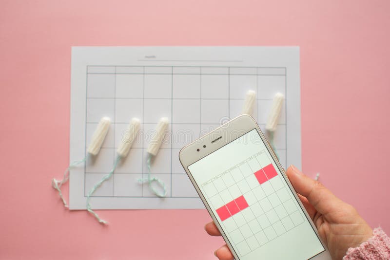 Menstrual cycle. Calendar for the month with marks and a mobile application on the smartphone screen. stock photo