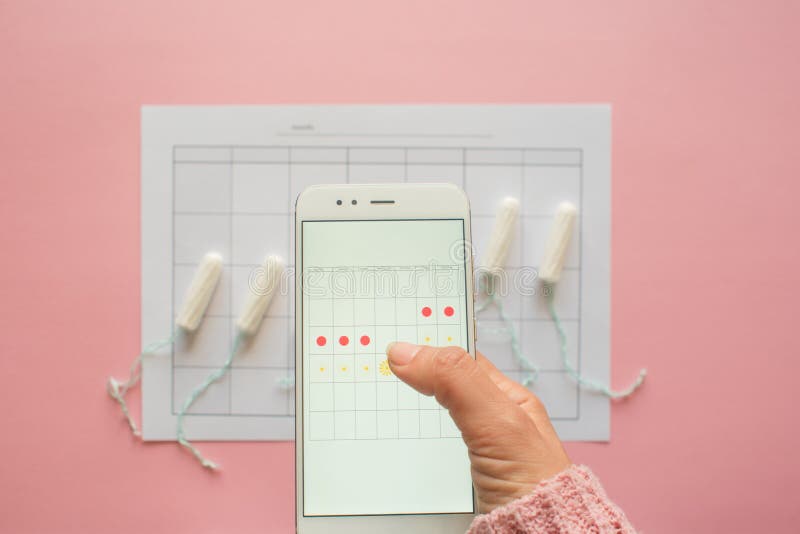 Menstrual cycle. Calendar for the month with marks and a mobile application on the smartphone screen. stock photo