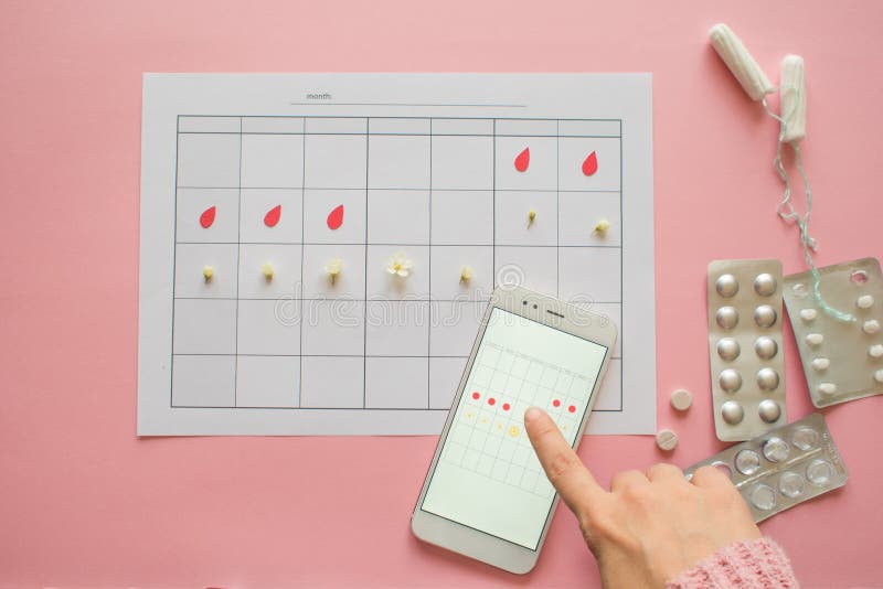 Menstrual cycle. Calendar for the month with marks and a mobile application on the smartphone screen. royalty free stock images
