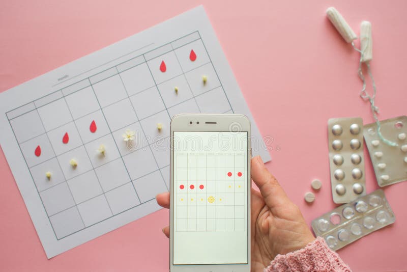 Menstrual cycle. Calendar for the month with marks and a mobile application on the smartphone screen. royalty free stock images