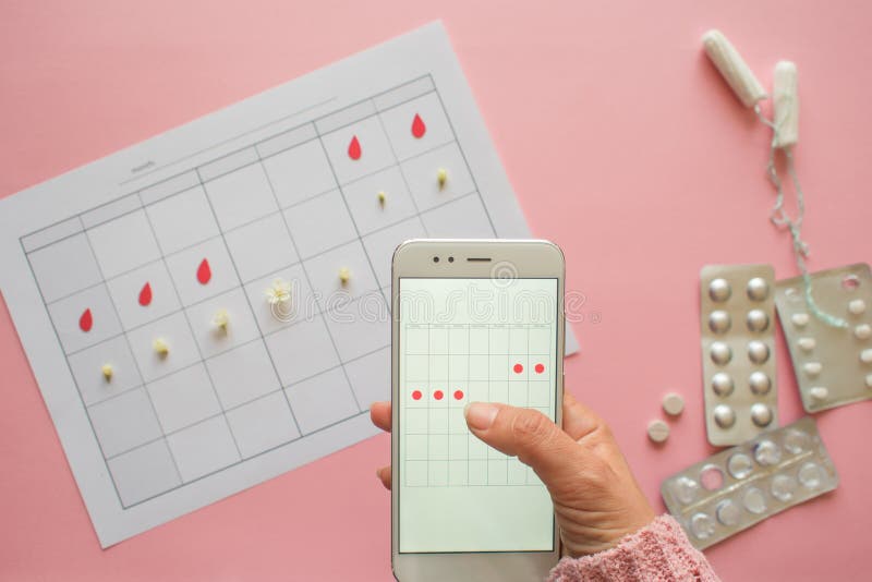 Menstrual cycle. Calendar for the month with marks and a mobile application on the smartphone screen. royalty free stock photo