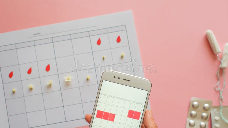 Menstrual cycle. Calendar for the month with marks and a mobile application on the smartphone screen. royalty free stock photo