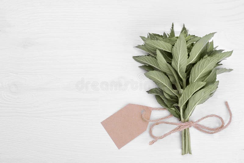 Menta fresca con la etiqueta engomada en el fondo de madera blanco imagen de archivo Menta fresca con la etiqueta engomada en el fondo de madera blanco imagen de archivo