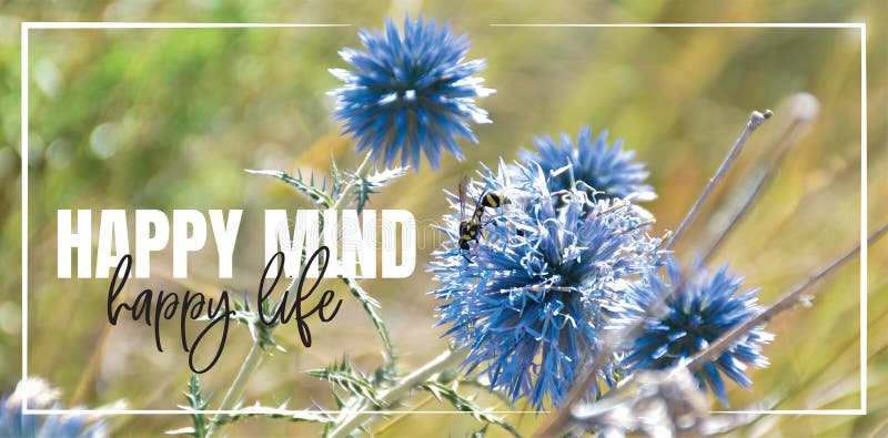 Mente feliz, vida feliz Design de redação, inscrição Lindas citações inspiradoras, motivacionais, de vida Flor azul na natureza
