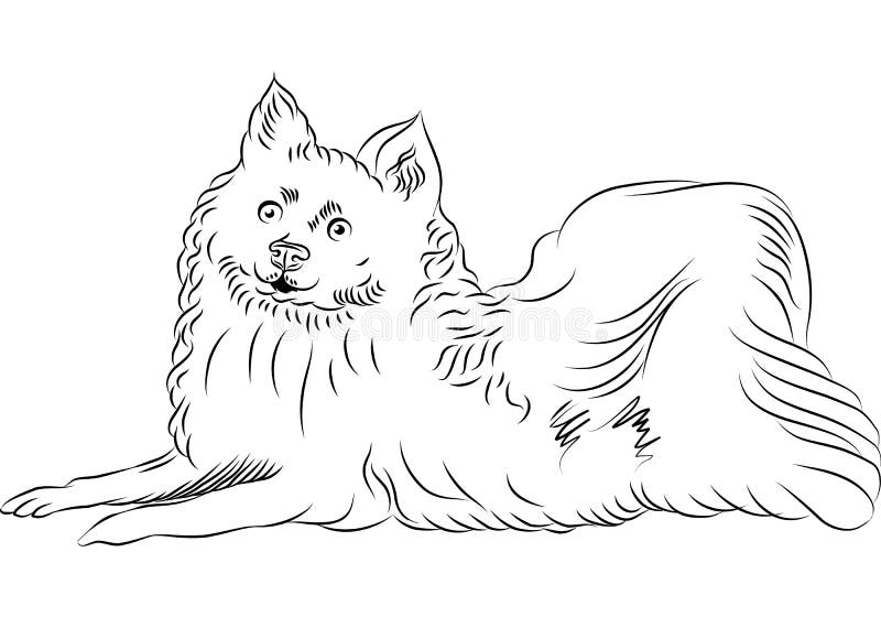mentira americana de la casta del perro esquimal del vector ilustración del vector mentira americana de la casta del perro esquimal del vector ilustración del vector
