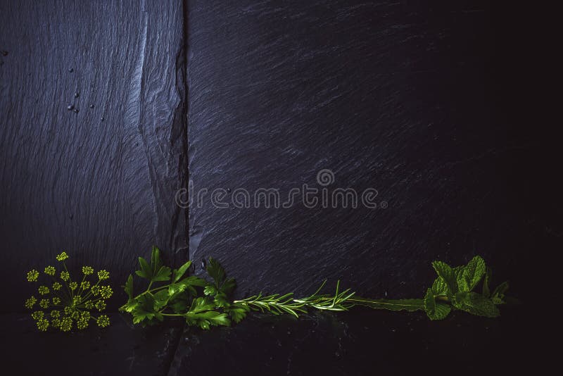 Menu Background, Herbs with Blank Stock Image - Image of cooking, frame:  147714873