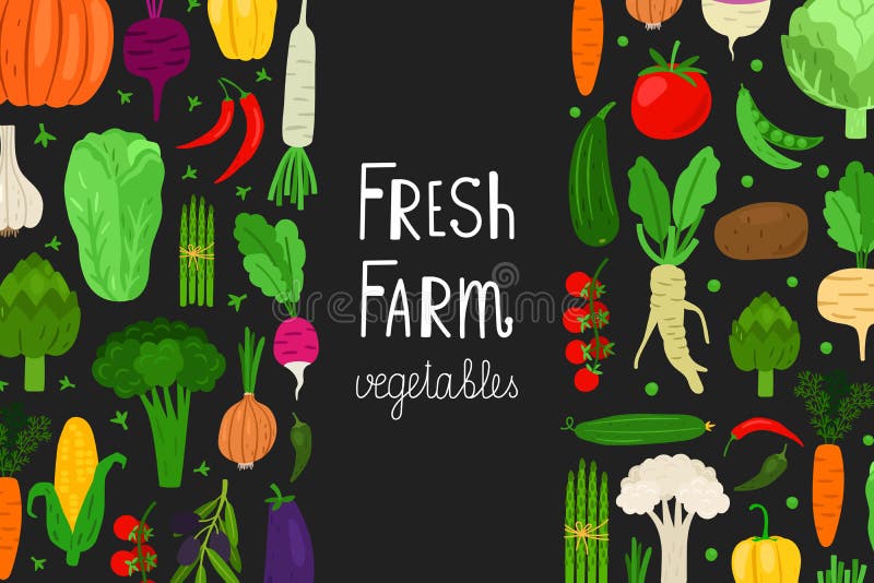 Menu fresco, molde do vetor da bandeira dos vegetais Fundo do alimento do vegetariano ilustração stock Menu fresco, molde do vetor da bandeira dos vegetais Fundo do alimento do vegetariano ilustração stock