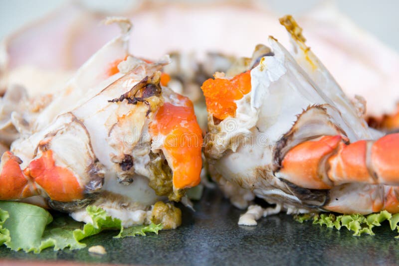 Queen Crab stock photo. Image of park, gujarat, names 105716244