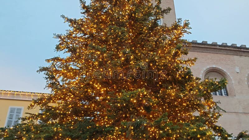 Meraviglioso e splendente albero di natale nel centro di fano stock footage