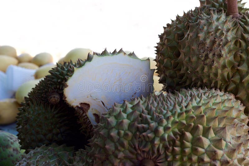 Mercado de la comida de Phuket, Tailandia: durian fresco para la venta en el soporte de fruta fotos de archivo Mercado de la comida de Phuket, Tailandia: durian fresco para la venta en el soporte de fruta fotos de archivo