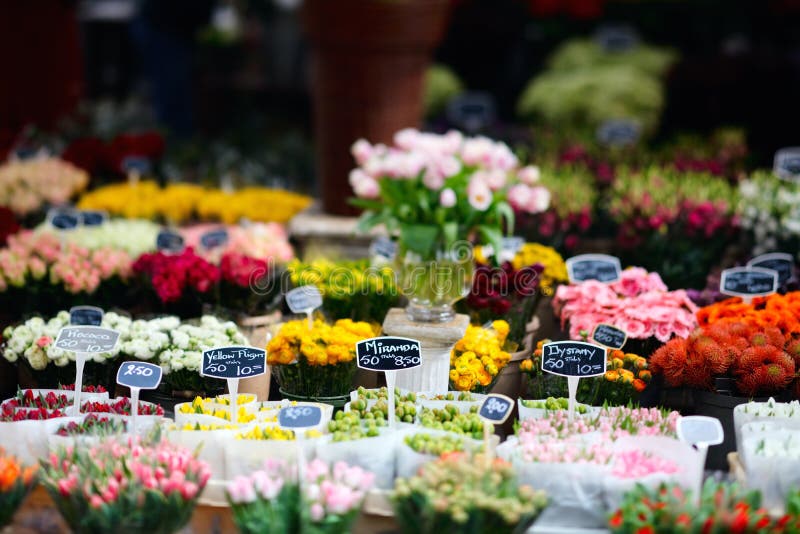 Tulips at floating flower market in Amsterdam, The Netherlands. Tulips at floating flower market in Amsterdam, The Netherlands