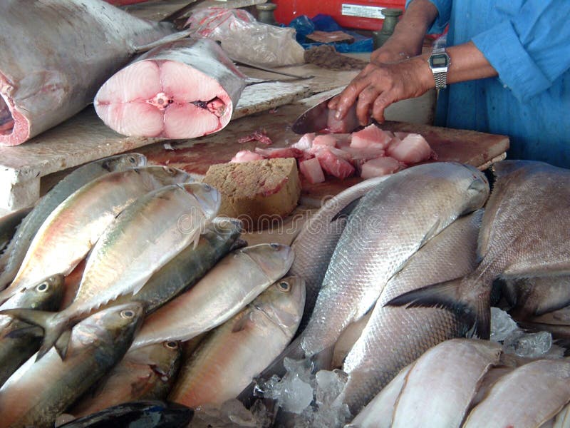 Mercado de pescados fotos de archivo libres de regalías Mercado de pescados fotos de archivo libres de regalías