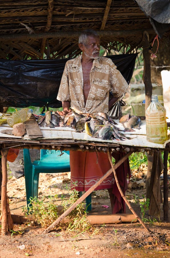 Mercado de pescados abierto tradicional de Sri Lankian imágenes de archivo libres de regalías Mercado de pescados abierto tradicional de Sri Lankian imágenes de archivo libres de regalías