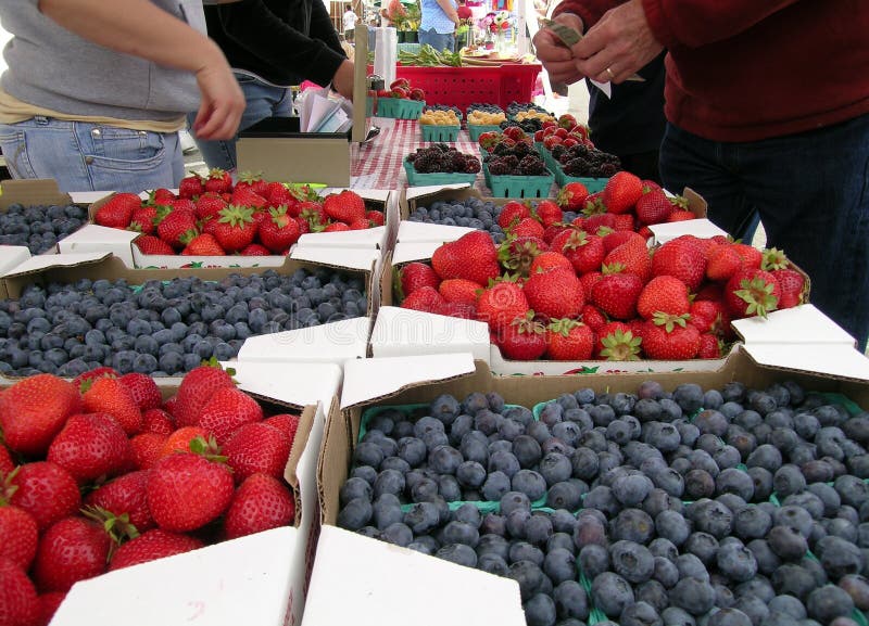 Strawberries and Blueberries on sale at Farmer's Market. Strawberries and Blueberries on sale at Farmer's Market