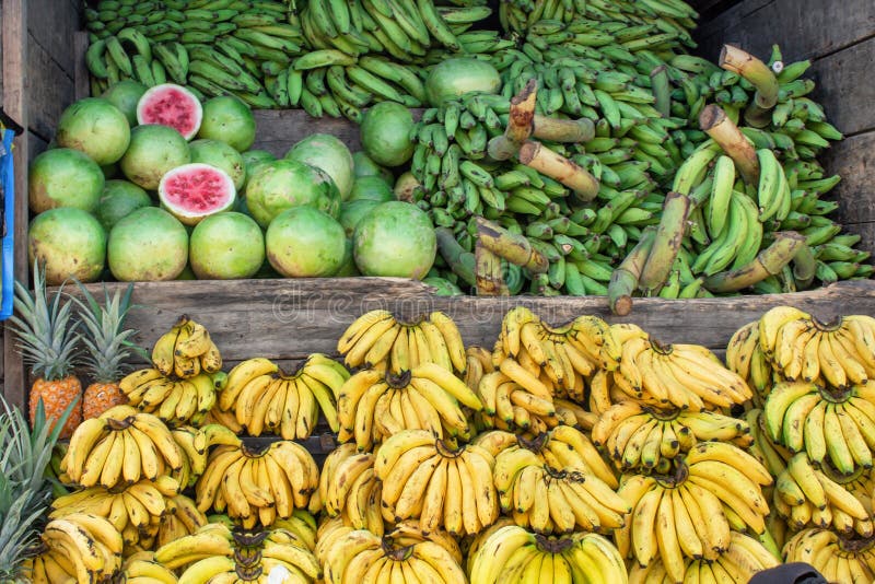 Mercato, vendente le banane delle banane verdi - “maduro di platano “ed angurie, il Sudamerica, Ecuador immagine stock libera da diritti Mercato, vendente le banane delle banane verdi - “maduro di platano “ed angurie, il Sudamerica, Ecuador immagine stock libera da diritti
