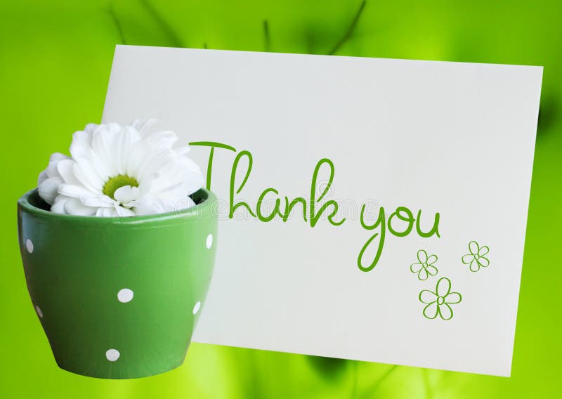 Merci marguerite photographie stock Merci marguerite photographie stock