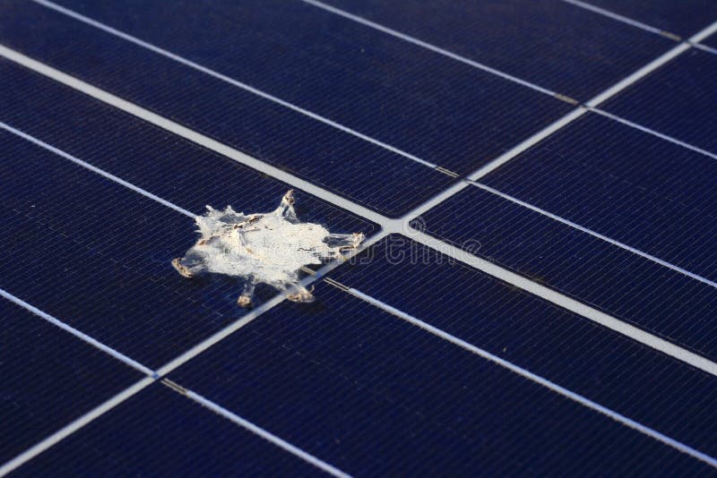 Bird Shit on Solar Panel Surface causes the hot spot that will damage the solar panel. Bird Shit on Solar Panel Surface causes the hot spot that will damage the solar panel