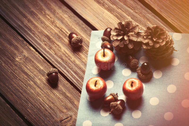 Mere mici și conuri de pin royalty free stock photography