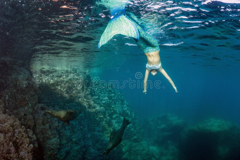 Mergulhador bonito louro da sereia subaquático fotografia de stock Mergulhador bonito louro da sereia subaquático fotografia de stock