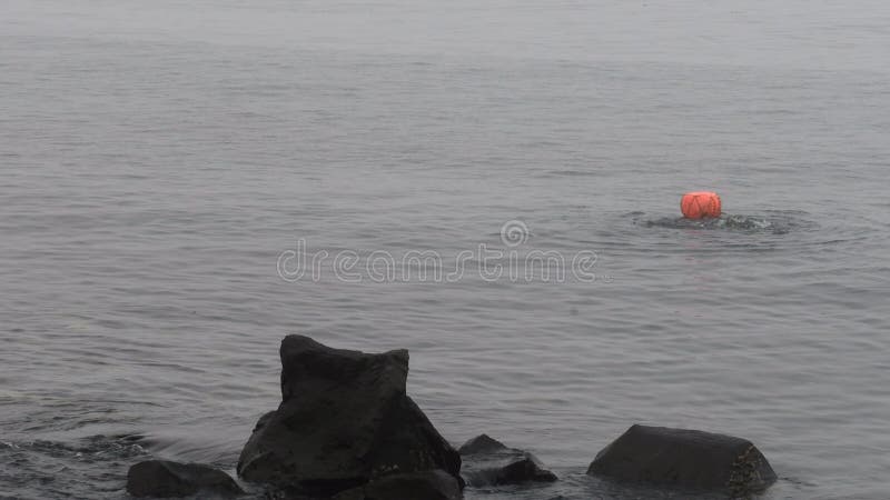 Mergulho pessoal em água do mar superficial