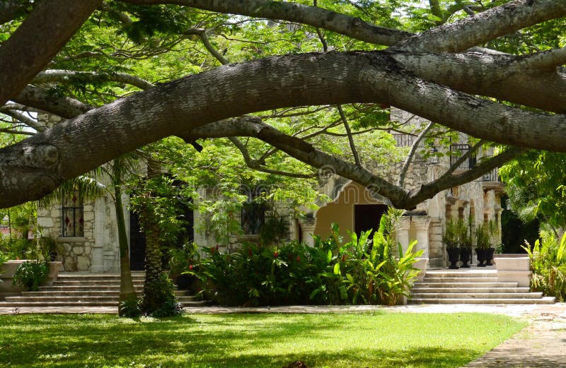 Merida Mexico City View Colonial Houses Paseo Montejo and Art Stock