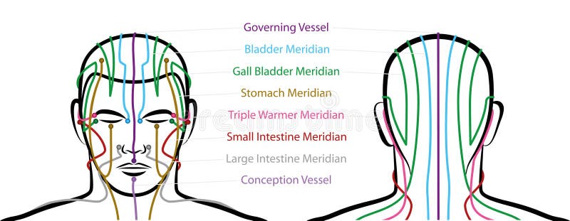 Meridiani da Testa agopuntura punti davanti un posteriore.