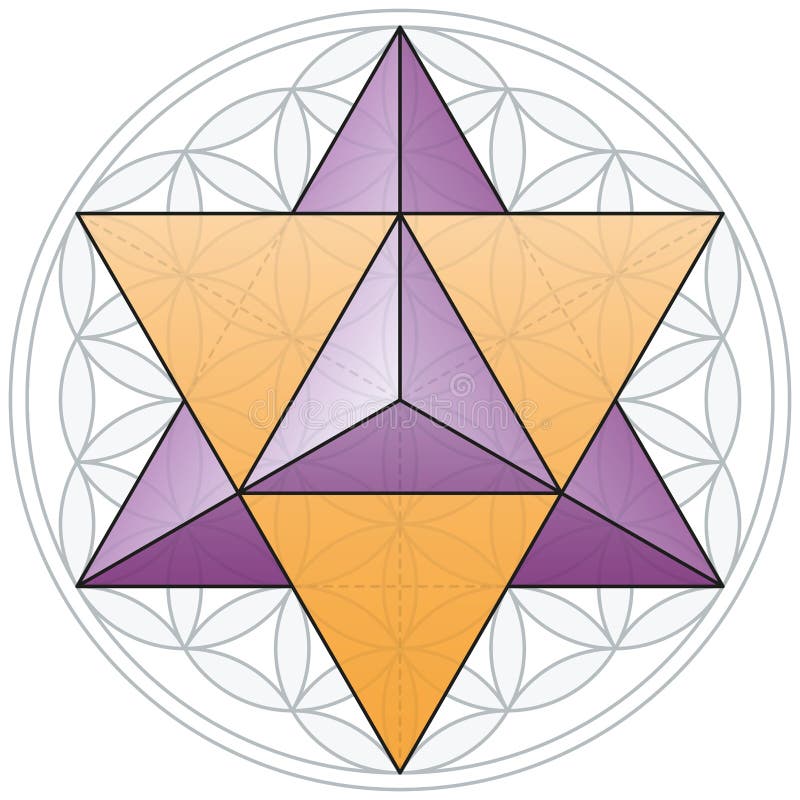 Merkaba und Blume des Lebens vektor abbildung Merkaba und Blume des Lebens vektor abbildung
