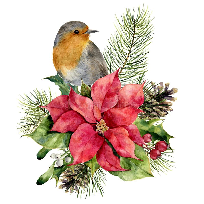 Merle d'aquarelle, poinsettia avec le décor floral de Noël Oiseau peint à la main et fleur et plantes traditionnelles : houx illustration libre de droits Merle d'aquarelle, poinsettia avec le décor floral de Noël Oiseau peint à la main et fleur et plantes traditionnelles : houx illustration libre de droits
