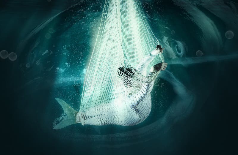 Mermaid in Fishing Nets. Underwater Stock Photo - Image of ideas, blue:  116850924