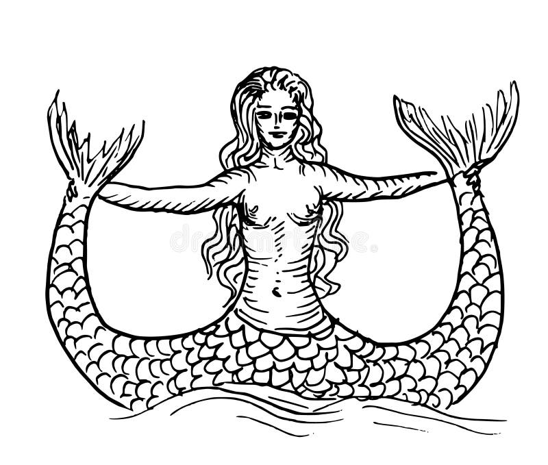 Mermaid or siren stock vector. Illustration of hand, white - 81653250