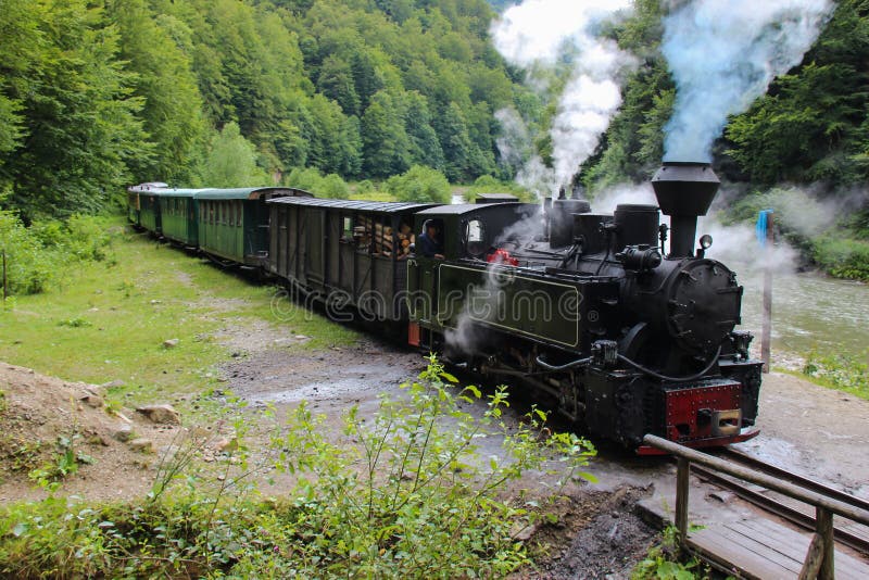 Mocanita Steam Train