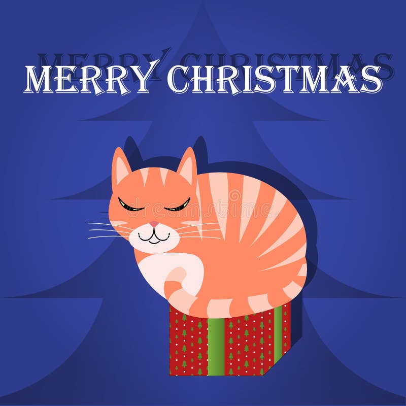 Merry Christmas Greeting Card Cat in Box Stock Vector Illustration of