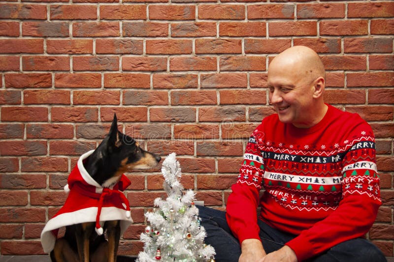 Merry Christmas. Happy New Year 2024. Christmas holiday celebration. Man and dog in Christmas sweater at New Year tree. December