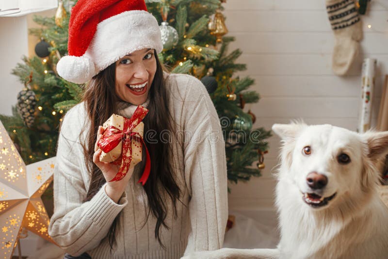 Merry Christmas! Happy woman in santa hat holding christmas gift with cute dog at stylish christmas tree. Pet and winter holidays