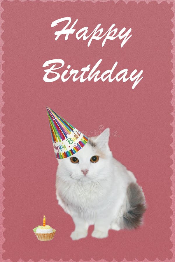 112 Kitty Cat Birthday Party Invitation Stock Photos - Free & Royalty ...