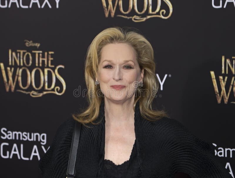 Meryl Streep royaltyfria bilder Meryl Streep royaltyfria bilder