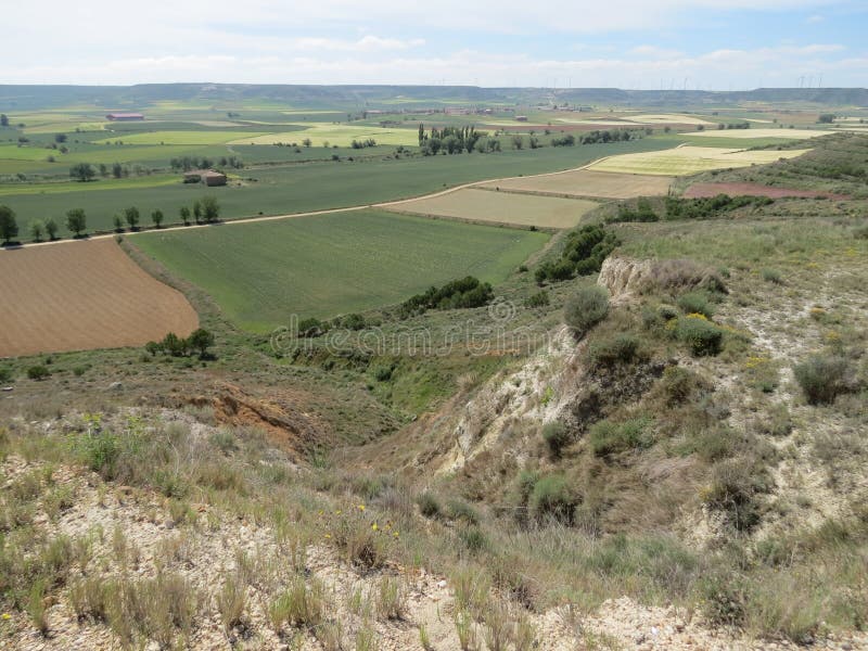 Meseta landscape around Castrojeriz