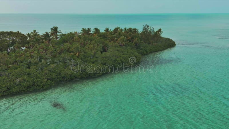 Mesmerizing Journey To A Tropical Paradise Exploring The Enchanting Mesmerizing Journey To A Tropical Paradise Exploring The Enchanting