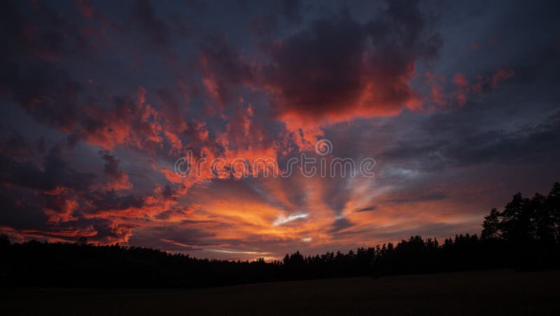 Mesmerizing scenery of colorful clouds and trees during sunset royalty free stock photography
