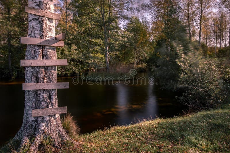 Mesmerizing scenery of a lake in the middle of a forest royalty free stock images