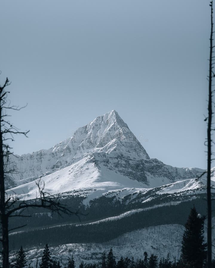 Mesmerizing scenery of snowy mountain in a vertical shot royalty free stock photos