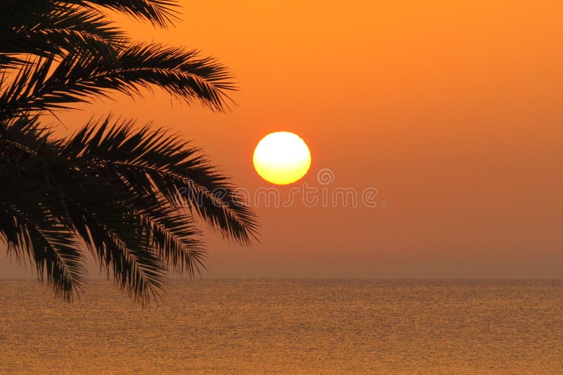 Mesmerizing scenery of a sunset over the beach with palm trees stock photo