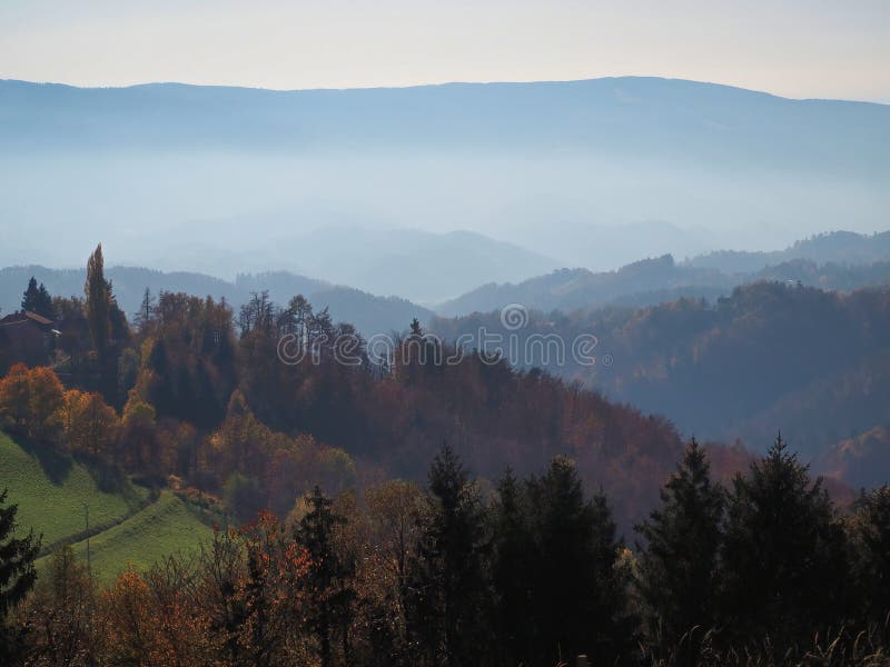Mesmerizing scenery of trees on a mountainside on a foggy day royalty free stock photography