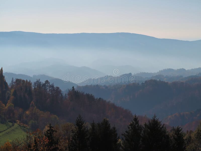 Mesmerizing scenery of trees on a mountainside on a foggy day stock photos