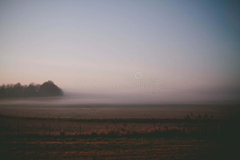 Mesmerizing view of the field disappearing in the fog - perfect for background stock image