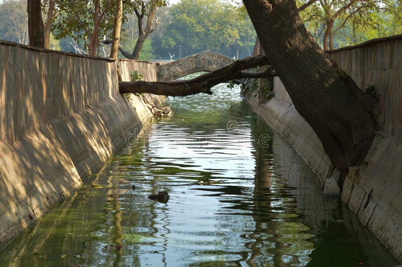 A mesmerizing view of hauz khas lake and garden from the hauz khas fort at hauz khas village at winter foggy morning